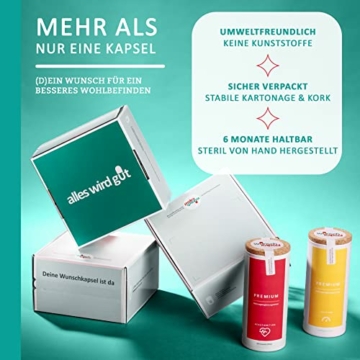 Wunschkapsel ABNEHMEN Premium Ergänzung zur Diät | Satiereal, Morosil und GreenPC | 290 Kapseln aus deutscher Manufaktur für XL-Reichweite - 3